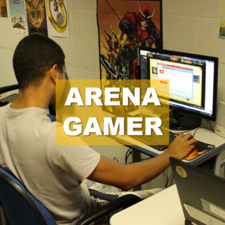 Arena Gamer